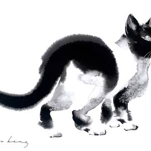 Midnight Prowl