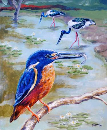 Azure kingfisher and jabiru thumb