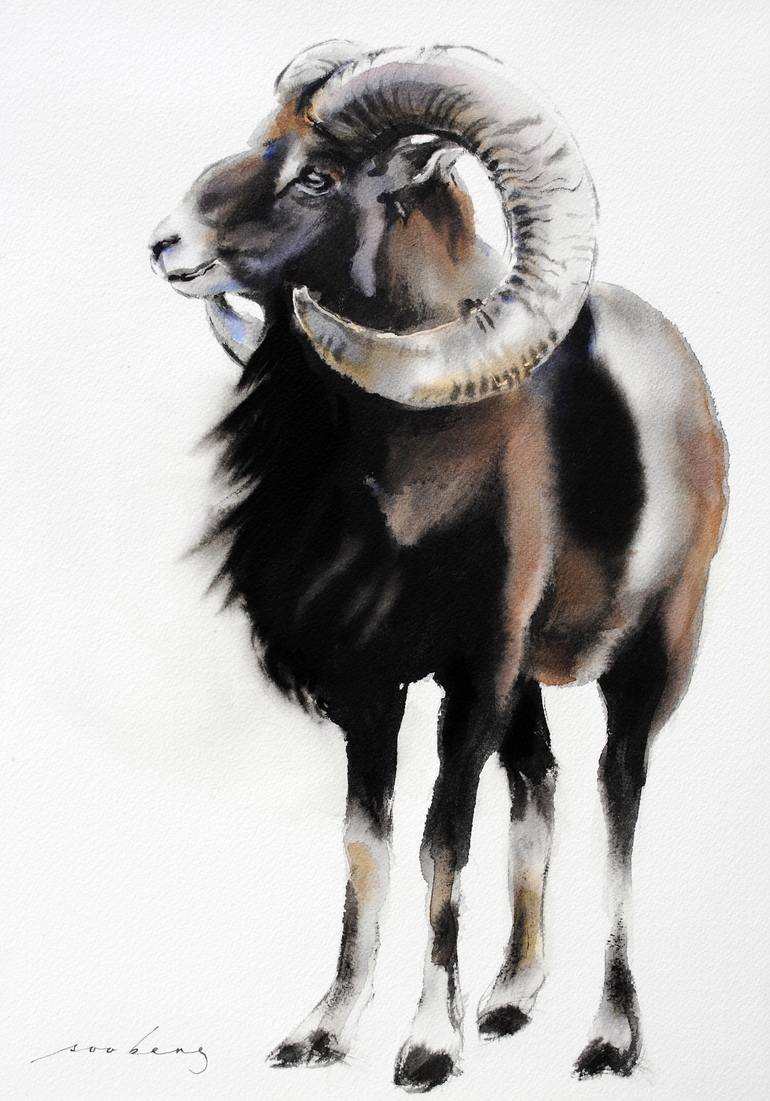 Mouflon Ram Drawing by Soo Beng Lim | Saatchi Art