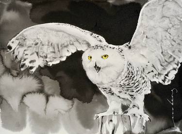 Snowy Owl thumb