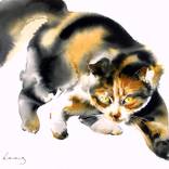 Collection Feline Fascinations