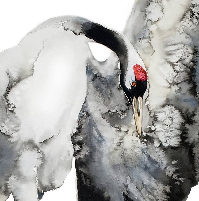 Original Illustration Nature Drawing by Soo Beng Lim