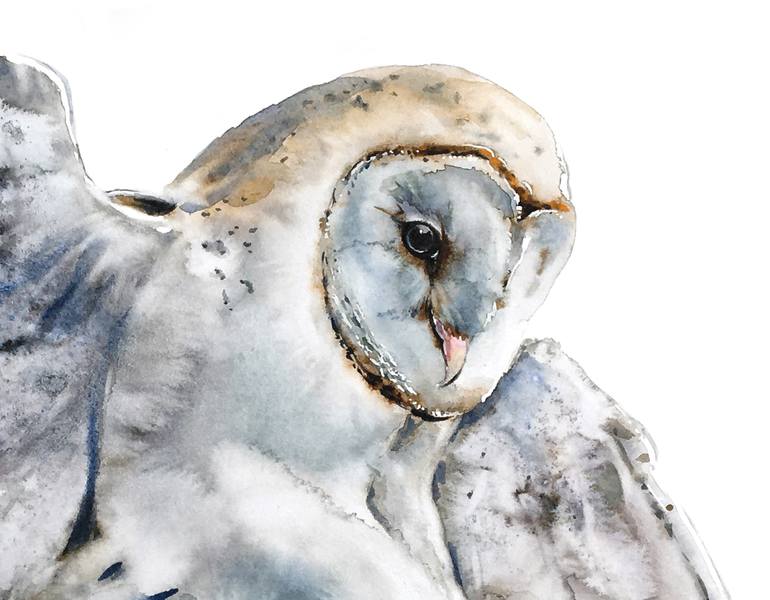 Original Illustration Nature Drawing by Soo Beng Lim