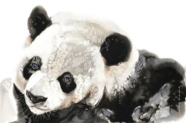 Print of Illustration Nature Drawings by Soo Beng Lim