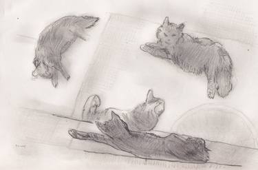 Print of Folk Cats Drawings by Jeffrey Yount
