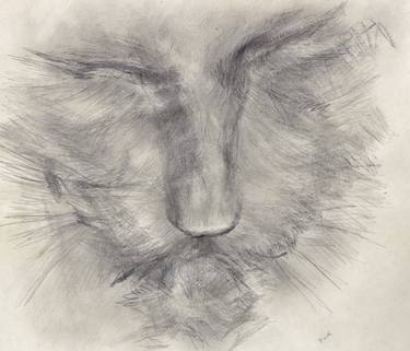 Print of Figurative Cats Drawings by Jeffrey Yount
