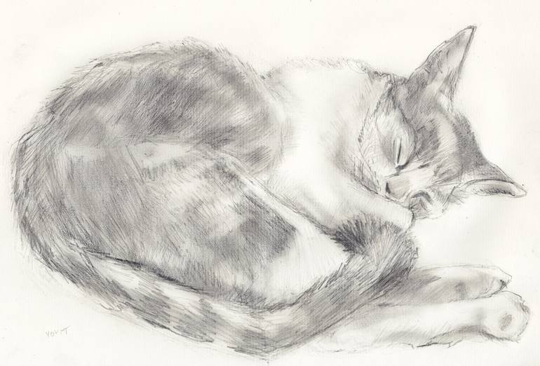 Cat Sleeping