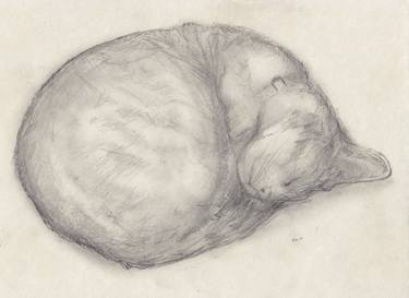 Print of Cats Drawings by Jeffrey Yount