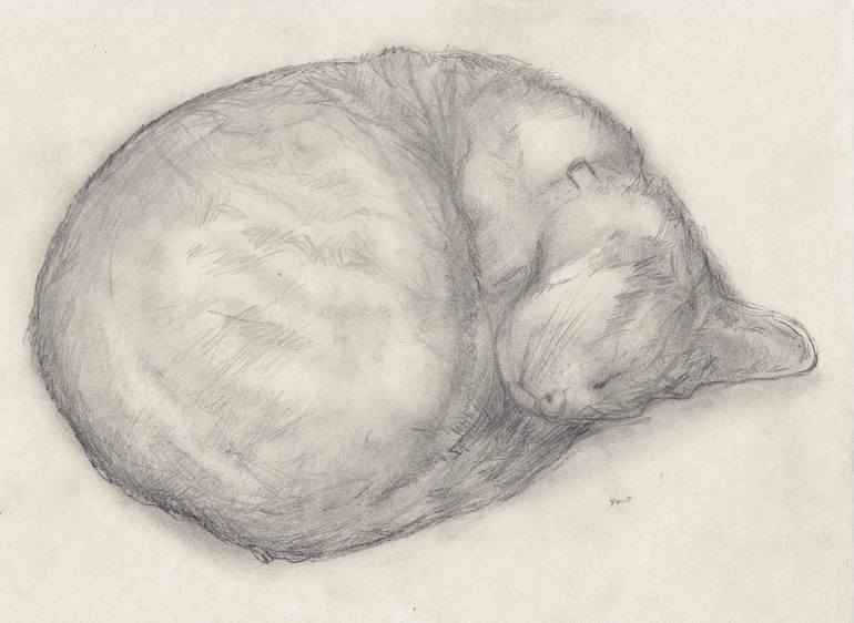 chat dormant cat sleeping Drawing by Jeffrey Yount Saatchi Art