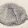 view additional image 1