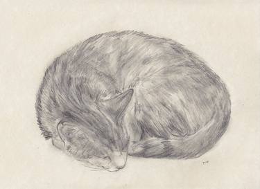 Print of Expressionism Cats Drawings by Jeffrey Yount
