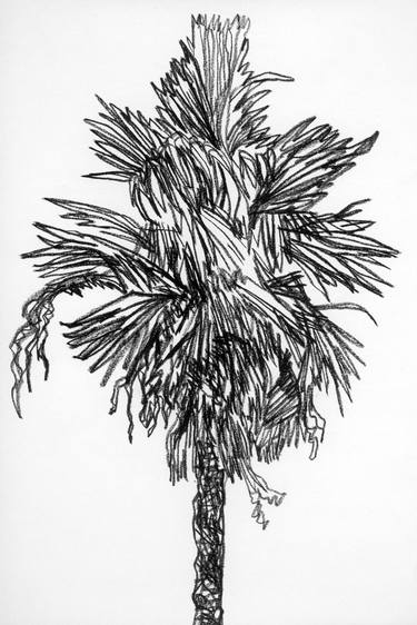Print of Expressionism Tree Drawings by Jeffrey Yount