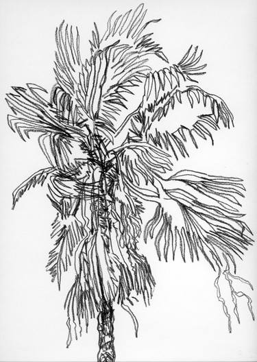 Print of Expressionism Tree Drawings by Jeffrey Yount