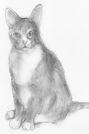 Print of Fine Art Cats Drawings by Jeffrey Yount