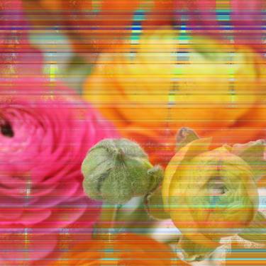 Original Floral Mixed Media by Susanne Di Martino