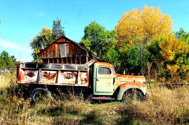 Print of Documentary Seasons Photography by Laura Martinelli