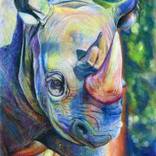 Determined by Carrie Alderfer