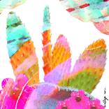Cosmic Cactus I by Ash Whitt