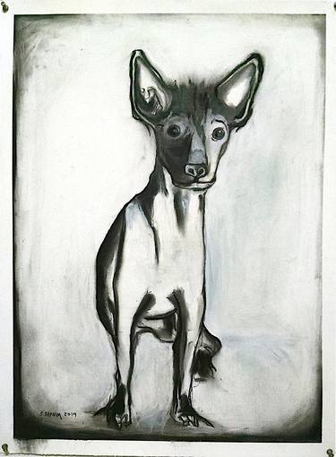 Print of Dogs Drawings by brenda barnum