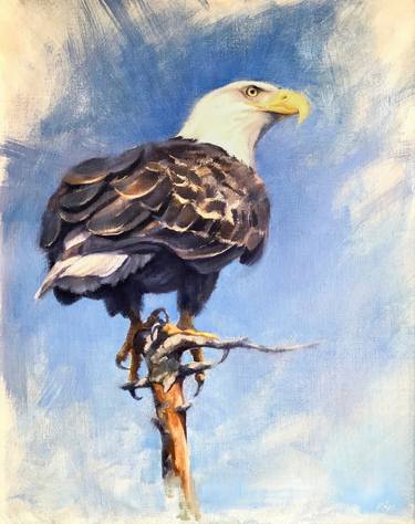 Day Watcher - Bald Eagle thumb