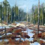 Morning Light - Early Spring by Neil Rizos