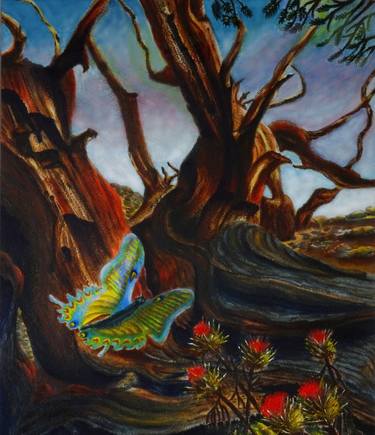 Original Conceptual Nature Paintings by Jane Attard