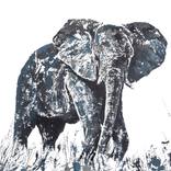 The gentle one by Anthony de Klerk