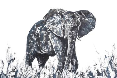 Print of Animal Paintings by Anthony de Klerk