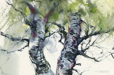 Original Fine Art Tree Paintings by Olga Sternyk