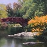 Central Park Gapstow Bridge_  Artist Nick Savides by Charaple  Gallery