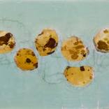 The preparation - potatoes by Hilde Provoost
