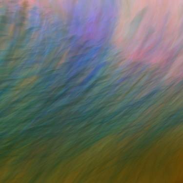 Original Abstract Nature Photography by Hans-Martin Doelz