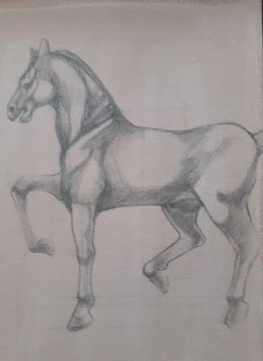 Study after Leonardo in silverpoint thumb