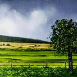 The Wild and Farm Land separated by Fence by NELLA ALAO