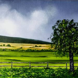 The Wild and Farm Land separated by Fence