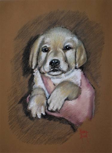 Original Realism Dogs Paintings by Kerry Anne Sullivan