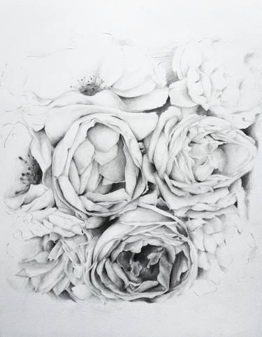 Original Illustration Floral Drawings by Heather Engelberg