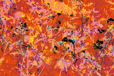 Original Abstract Expressionism Botanic Photography by Cynthia Stephens Sanders