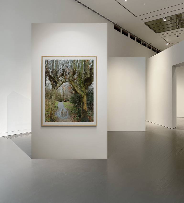 Original Photorealism Landscape Photography by Mal Vino Palinska