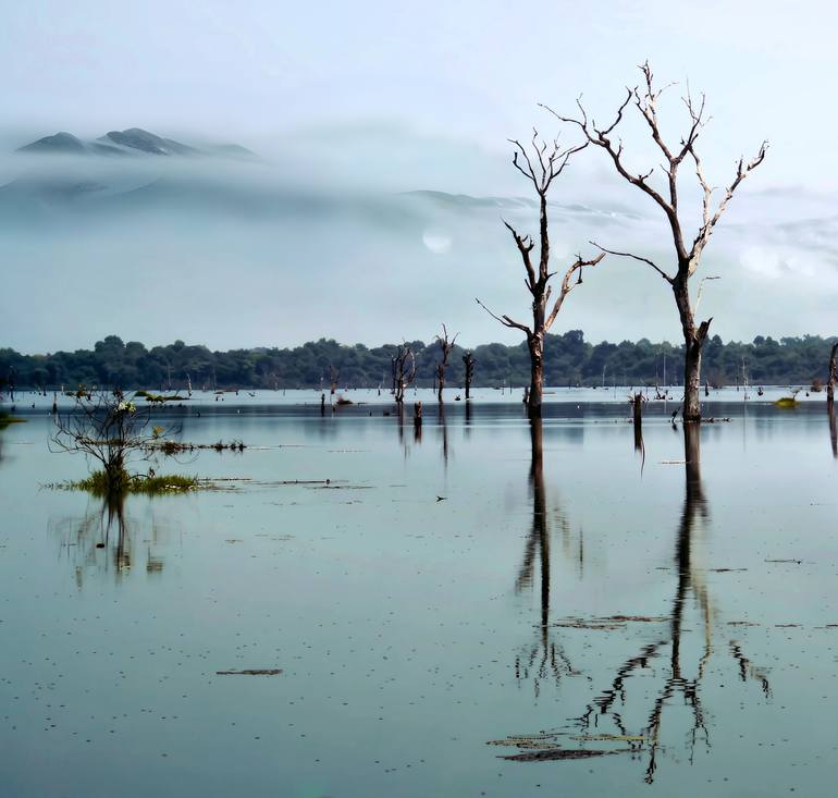 Original Photorealism Landscape Photography by Mal Vino Palinska