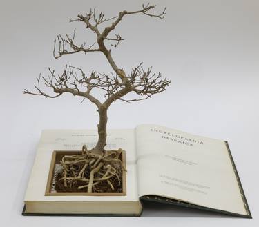 Print of Conceptual Tree Installation by Moshe Gordon