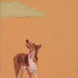 Dog by Simon Schneiderman