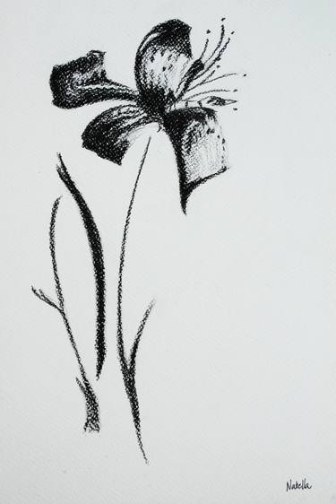 Print of Abstract Expressionism Botanic Drawings by Natella Mammadova