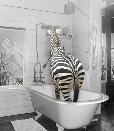 Zebra Bath thumb