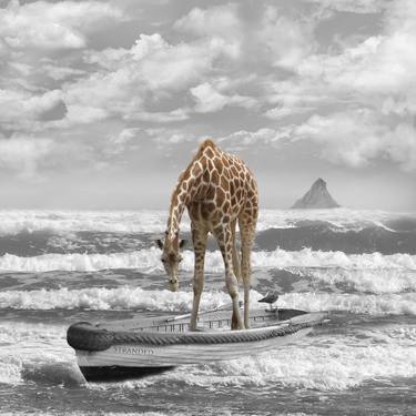Print of Conceptual Animal Photography by Donna ODonoghue