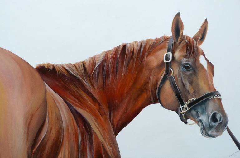 Original Realism Animal Paintings by Rebecca Arnold