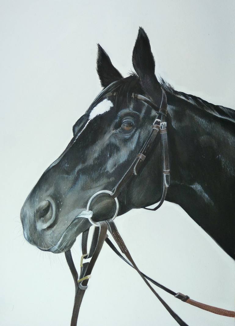Original Realism Animal Paintings by Rebecca Arnold
