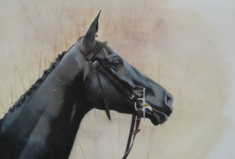 Original Realism Animal Paintings by Rebecca Arnold