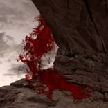 Collection Ellary Eddy