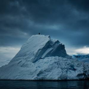 Fresh Perspectives: New Photography